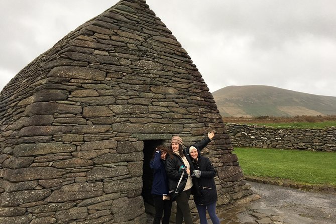 Ring of Kerry Tour Private Chauffeur Driven From Killarney - Kells Sheep Centre and the Border Collies