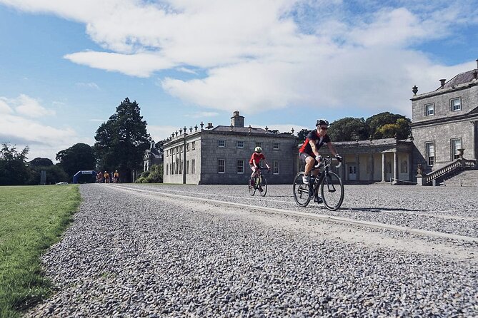 Russborough House and Parklands Admission and Tour Ticket - The parklands, from a quiet walk to a family afternoon
