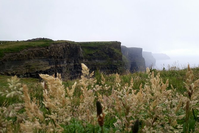 Scogliere di moher e Galway in italiano - Why this Dublin day trip works