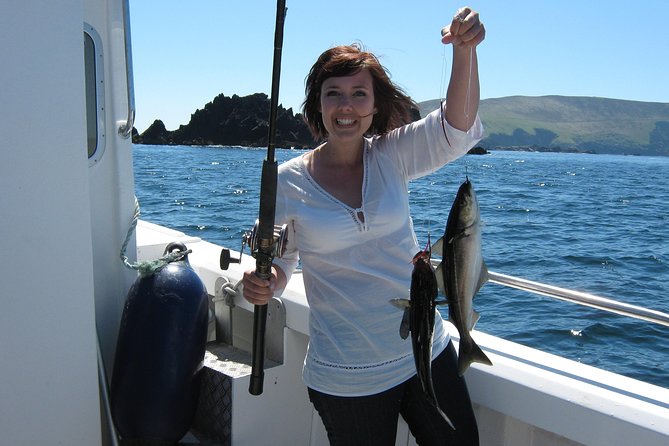 Sea Fishing 2 hour - What you might catch in Dingle Bay