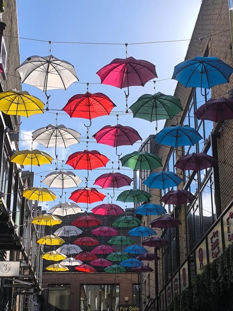 Secret and unusual Dublin: guided walking tour - Temple Bar beyond the pub signs