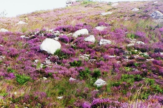 Self Guided Electric Bike Tour of Historical Sites in the Burren Co Clare - What the $78.10 price really covers