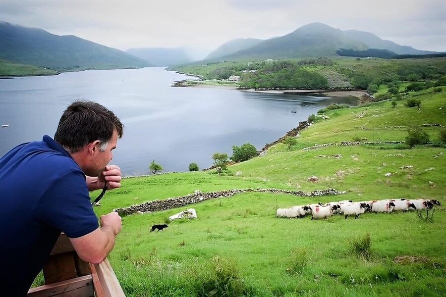 Sheepdog herding demo on working sheep farm. Galway. Guided. - Trying the slean and cutting traditional turf