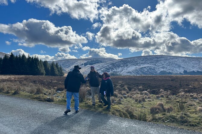 Sheepdogs in the countryside, authentic Dubliners city tour combo - The west Wicklow sheepdog visit
