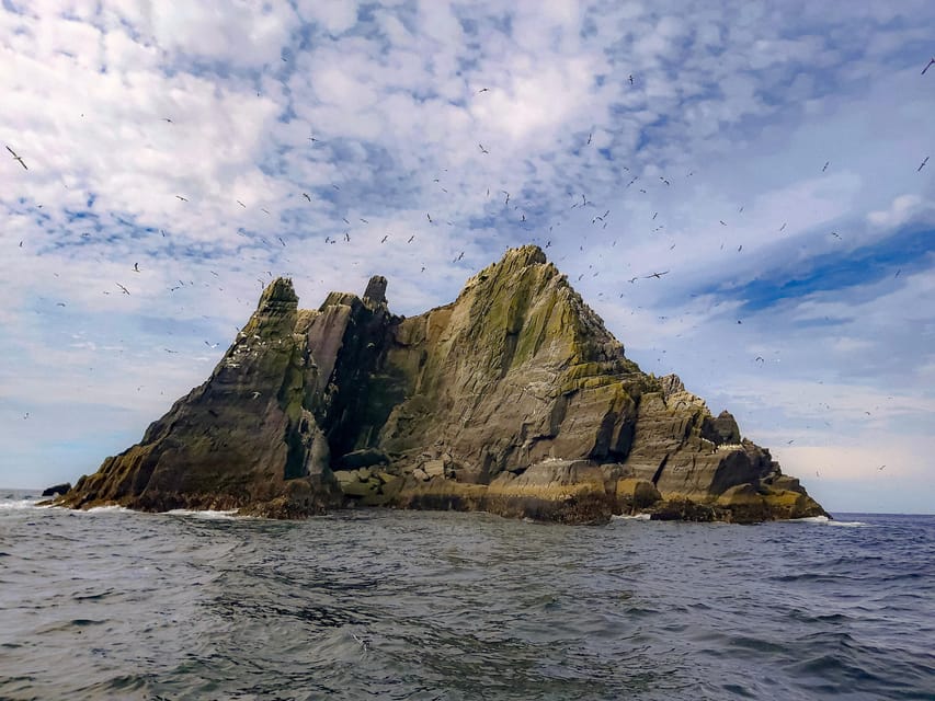 Skellig Michael: Skellig Sightseeing Cruise with AquaTerra - Key points to know before you book