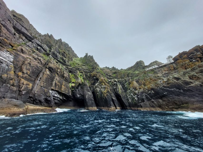 Skellig Michael: Skellig Sightseeing Cruise with AquaTerra - Wildlife watching around the Skelligs