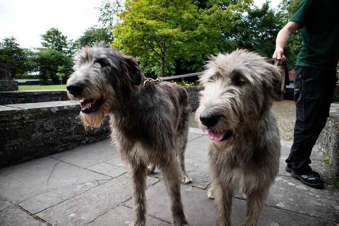 Skip the Line: Bunratty Castle and Folk Park Admission Ticket - Price and practical value at $26.55