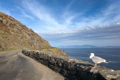 Slea Head Photo & Sightseeing Tour