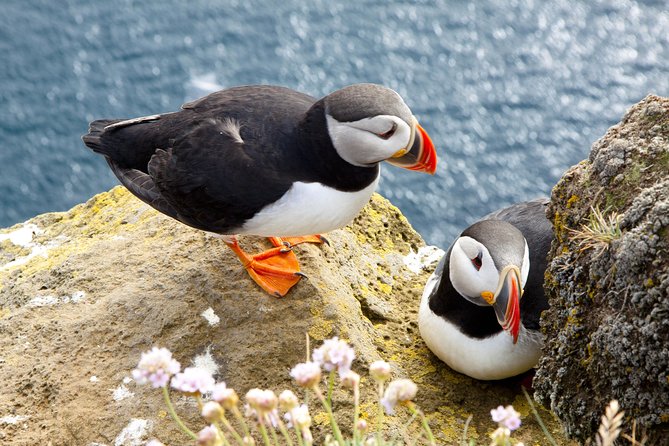 Small Group - Cliffs Cruise, Aran Islands AND Connemara in One Day from Galway - A route around Galway Bay, not just a return trip