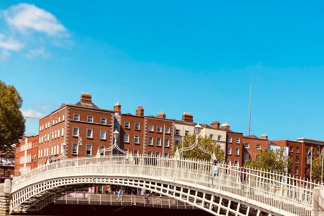 Small Group-Dublin Walking Tours - Leinster House and Dublin’s Georgian streets