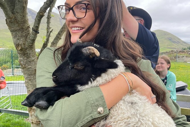 Small Group Kylemore Abbey, Sheepdog Demo & Connemara Tour - The guide can make the long drive enjoyable