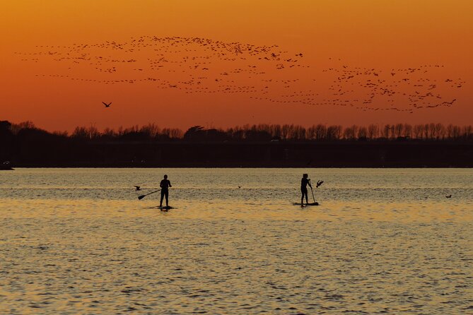 Sunset SUP experience in Malahide, Dublin - Key points at a glance