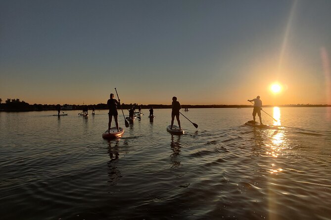 Sunset SUP experience in Malahide, Dublin - Sunset paddling at Malahide Marina