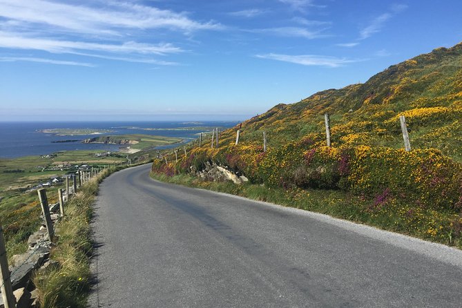 Sustainable Connemara and Galway Bay Rail Tour from Dublin - Roundstone Harbor and the food question