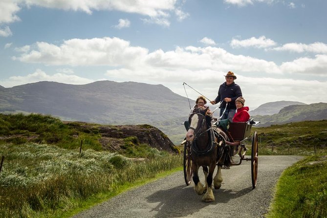 The Gap of Dunloe Adventure Day Tour from Killarney - The Black Valley by pony trap