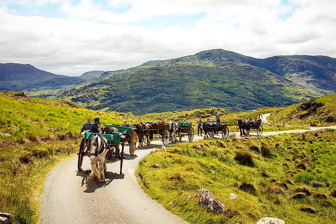 The Gap of Dunloe Adventure Day Tour from Killarney - Is the $205.59 price fair?