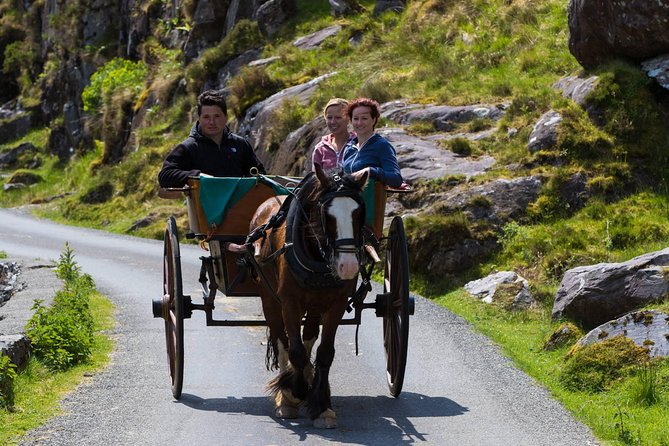 The Gap of Dunloe Full-Day Tour from Killarney - Cruising all three Lakes of Killarney
