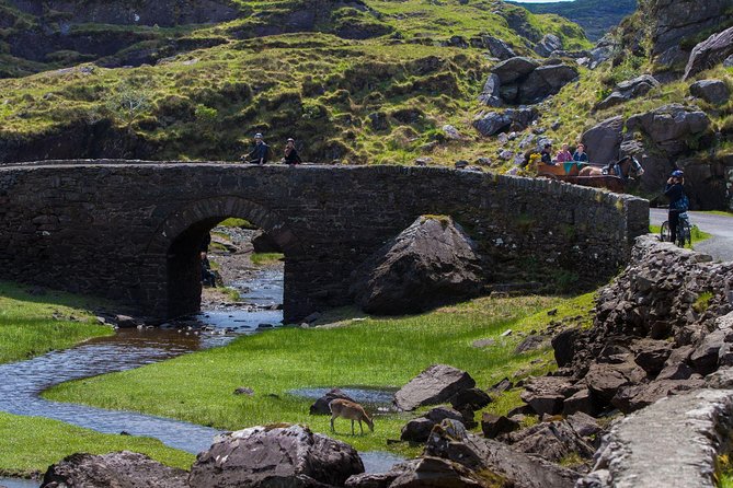 The Gap of Dunloe Full-Day Tour from Killarney - Ross Castle at the end of the water route