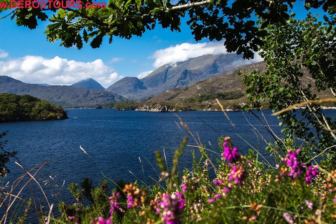 The Gap of Dunloe Full-Day Tour from Killarney - Who should choose this tour