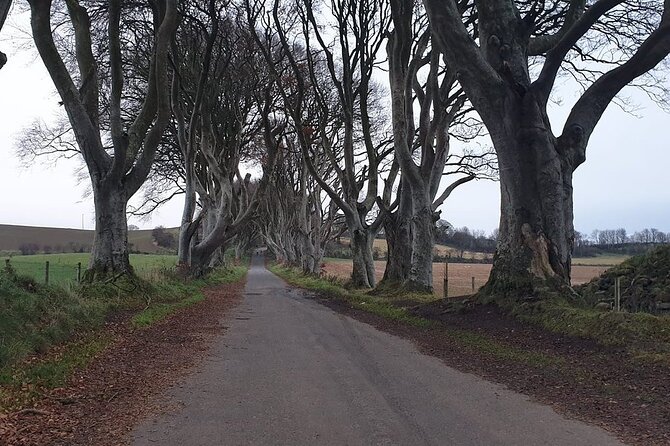 The Giant's Causeway, Dunluce Castel and Belfast - Spanish guide - Timing, transport, and the practical side of the day