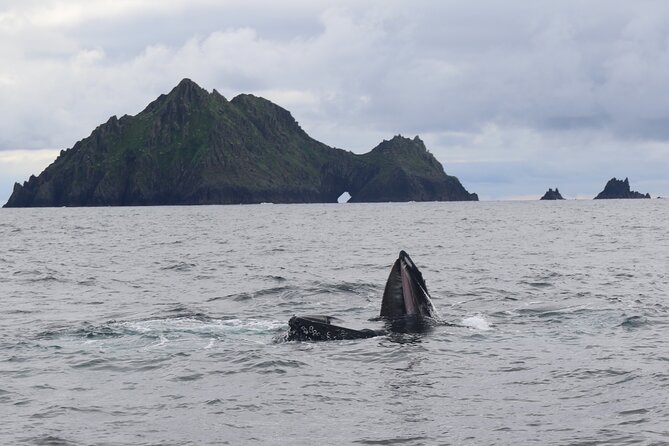 The Great Blasket Island Experience - Premium Tour - Approaching Great Blasket Island by smaller dinghy