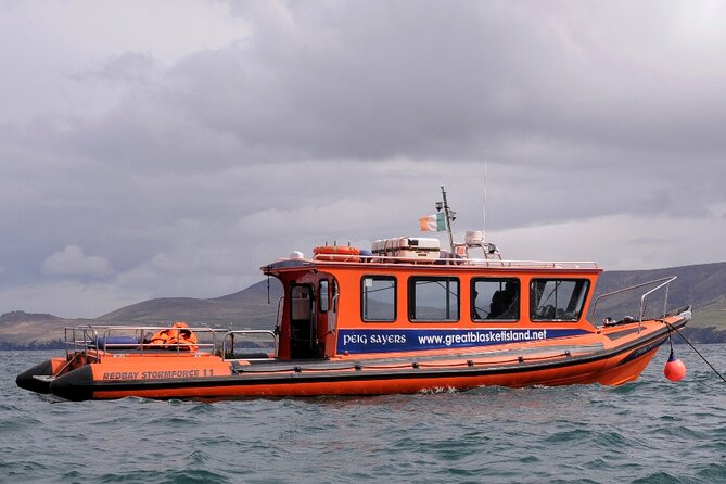 The Great Blasket Island Experience - Premium Tour - The return ride to Dingle