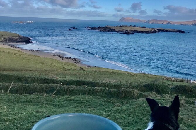 The Great Blasket Island Experience - Premium Tour - Comfort, clothing, and the small details