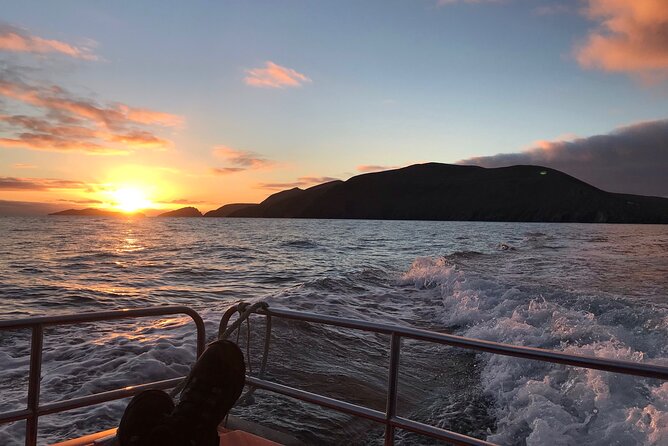 The Great Blasket Island Experience - Premium Tour - Walking the abandoned village and island trails