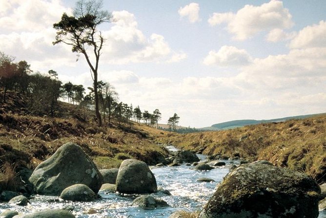 The Original Award Winning Wild Wicklow Tour incl. Glendalough - The whiskey tasting finishes the return journey
