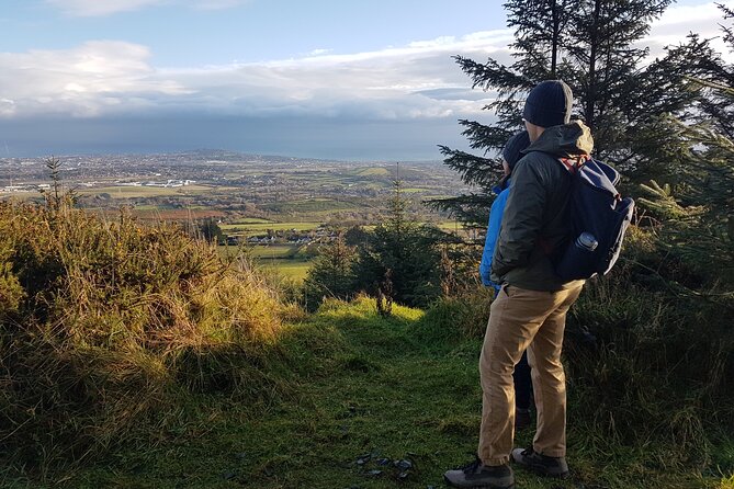 Trek the Tombs and Trails in the Dublin Mountains - Picking berries when the season allows