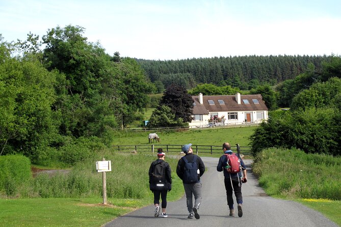 Trek the Tombs and Trails in the Dublin Mountains - The ridge between Dublin and Wicklow