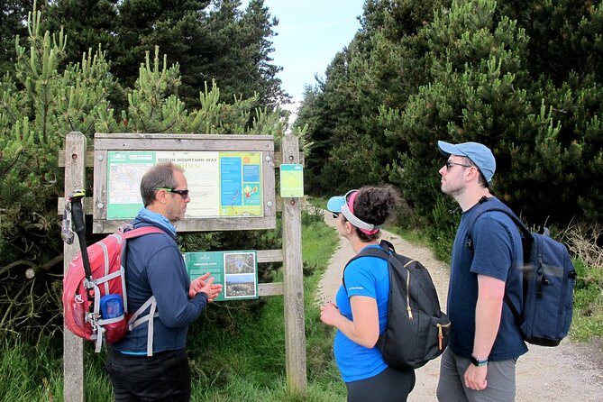 Trek the Tombs and Trails in the Dublin Mountains - Tibradden and the second burial site