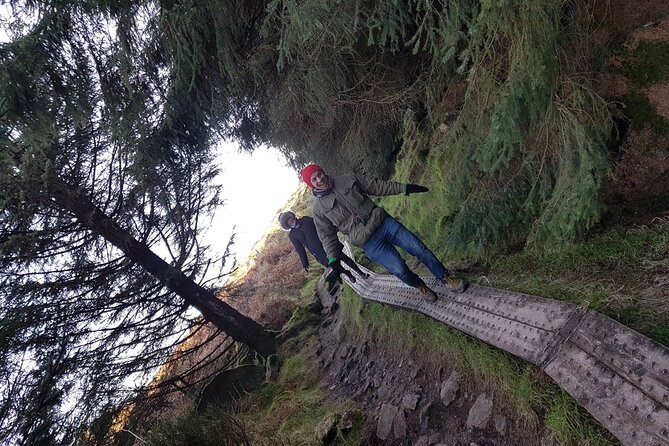 Trek the Tombs and Trails in the Dublin Mountains - Down through the evergreen forest