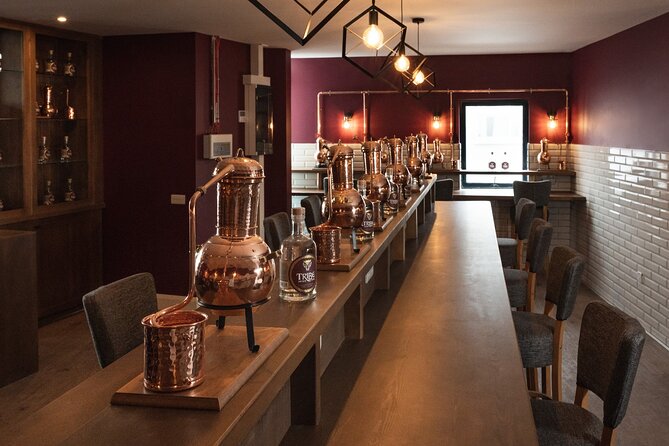Tribe Gin School Experience in Galway - Key points to know before booking