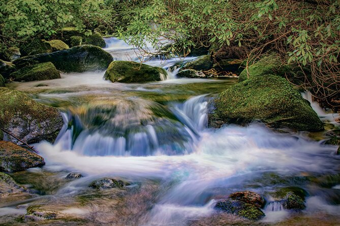 Uncover the Ring of Kerry & Kerry Cliffs -Private Luxury Day Tour - Com an Chiste and the mountain road