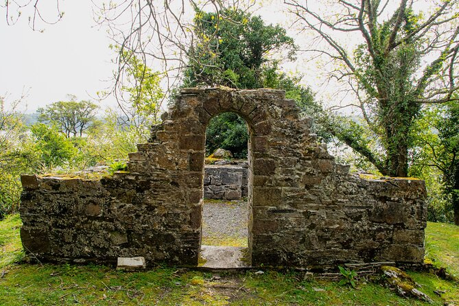 Visit Innisfallen Island - A short crossing from Ross Castle to an old monastic island