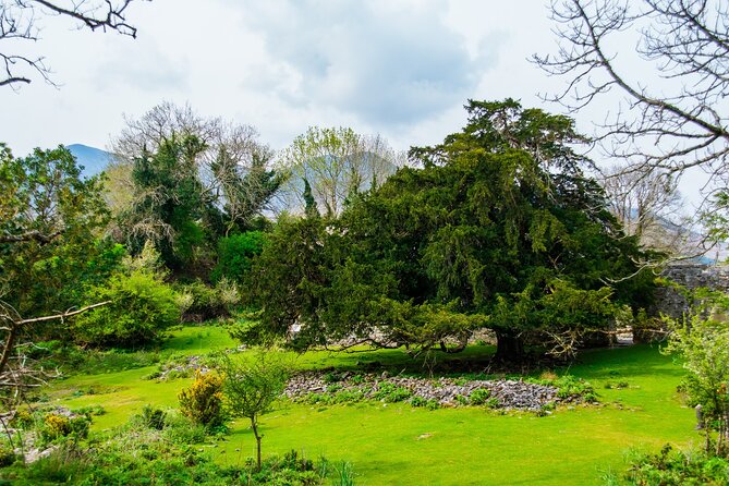 Visit Innisfallen Island - Weather, access, and practical comfort