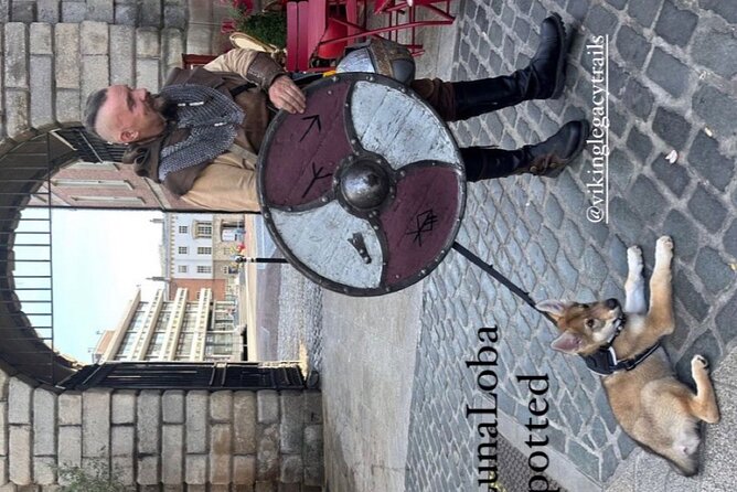Walking Tour of Dublin’s Viking/Medieval Quarter with a Viking - Stories, myths, and hands-on history