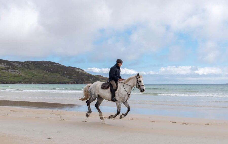 Westport: Beach and Countryside Guided Horse Ride - Key points to know before you book