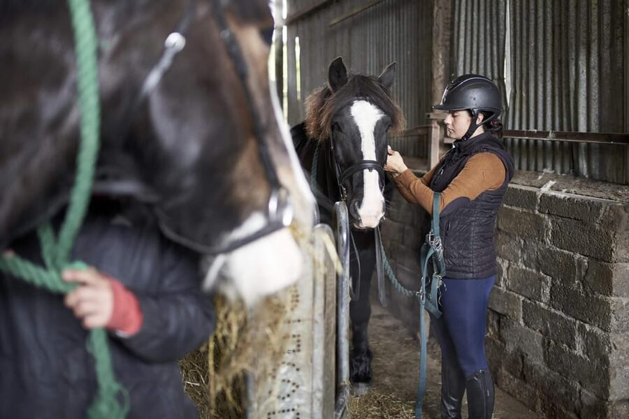 Westport: Beach and Countryside Guided Horse Ride - Riding along the beach beside Clew Bay