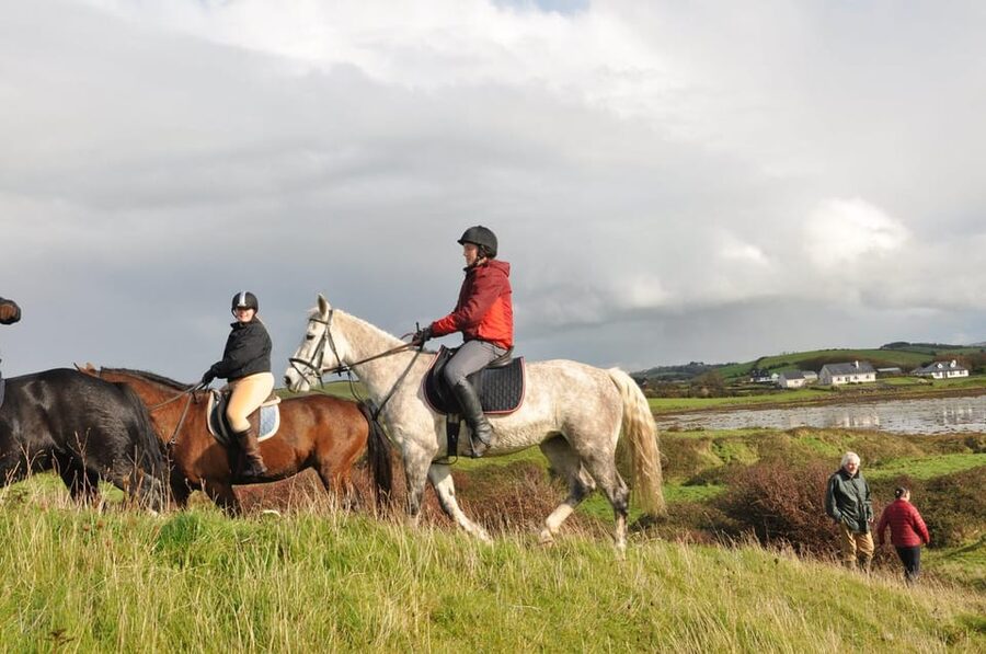 Westport: Beach and Countryside Guided Horse Ride - Who will enjoy this ride most?