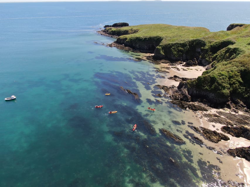 Wexford: Hook Peninsula Sea Cave Kayaking Experience - Is $96 a fair price?