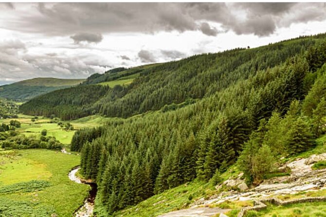 Wicklow and Glendalough Private Chauffeured Sightseeing Tour - The guides and the tone of the day