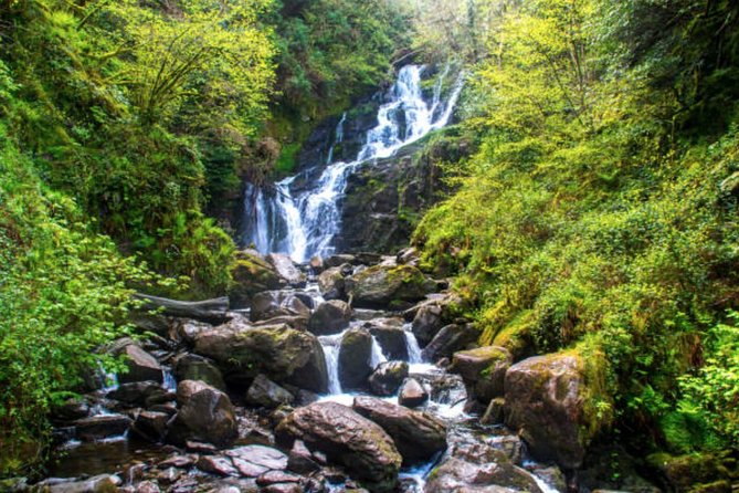 Wicklow Mountains & Glendalough Luxury Private Day Tour - A pint and meal at Johnnie Fox’s