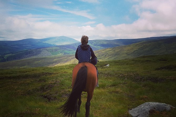 Wicklow Mountains Horse Trekking - Key details before you book
