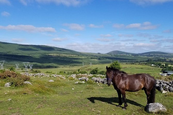 Wicklow Mountains Horse Trekking - A quiet start in the Wicklow countryside