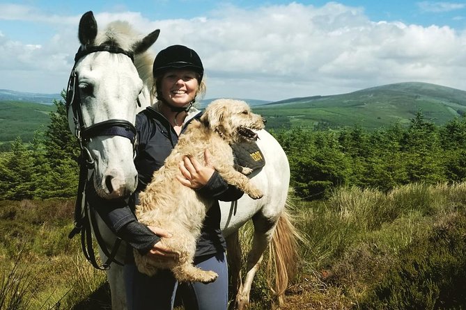 Wicklow Mountains Horse Trekking - Matching you with the right horse