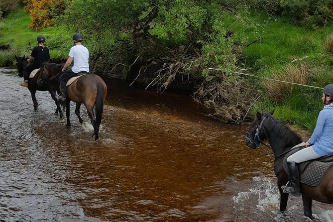 Wicklow Mountains Horse Trekking - Riding over the mountains and through the valley