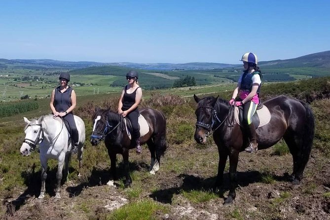 Wicklow Mountains Horse Trekking - A pace for beginners, with more for experienced riders