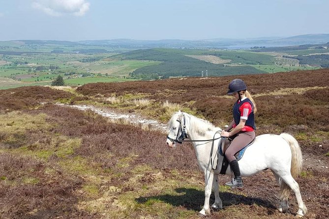 Wicklow Mountains Horse Trekking - The guides shape the experience
